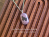 Fused Glass Pendants with Animal Themed Silk Screen Decals (Multiple Options)